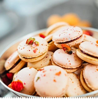 Optimasi Website (SEO).